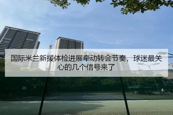 国际米兰新援体检进展牵动转会节奏，球迷最关心的几个信号来了